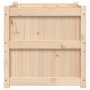 Jardineras de exterior 2 unidades madera maciza de pino en Maceteros y jardineras | Comprar online en Foro24