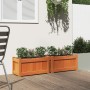 Jardineras de exterior 2 uds madera maciza de pino marrón cera en Maceteros y jardineras | Comprar online en Foro24