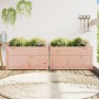 Jardineras de jardín 2 unidades madera maciza Douglas en Maceteros y jardineras | Comprar online en Foro24