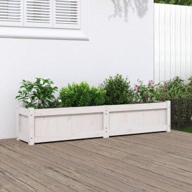 Jardinera de madera maciza de pino blanca 150x31x31 cm en Maceteros y jardineras | Comprar online en Foro24