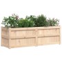 Jardinera de madera maciza de pino 150x50x50 cm