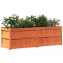 Jardinera exterior madera maciza pino marrón cera 150x50x50 cm en Maceteros y jardineras | Comprar online en Foro24