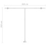 Toldo de pie automático gris antracita 300x250 cm