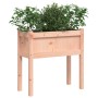 Jardineras con patas 2 uds madera maciza de abeto Douglas