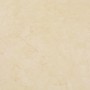 Selbstklebende Paletten 20 Einheiten PVC 1,86 m² beige von vidaXL, Böden und Teppiche - Ref: Foro24-330173, Preis: 44,15 €, R...