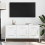 Mueble de TV de acero blanco 100,5x39x50,5 cm