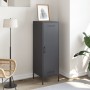 Aparador de acero gris antracita 36x39x113 cm