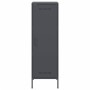 Aparador de acero gris antracita 36x39x113 cm