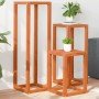 Soportes para plantas 3 piezas madera maciza pino marrón cera en Soportes para macetas | Comprar online en Foro24