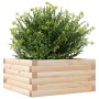Jardinera de madera maciza de pino 50x50x23 cm