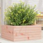 Jardinera de madera maciza Douglas 50x50x23 cm