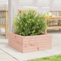 Jardinera de madera maciza Douglas 50x50x23 cm
