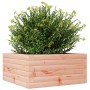 Jardinera de madera maciza Douglas 50x50x23 cm
