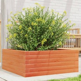 Jardinera de madera maciza pino marrón cera 60x60x23 cm en Maceteros y jardineras | Comprar online en Foro24