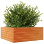 Jardinera de madera maciza pino marrón cera 60x60x23 cm en Maceteros y jardineras | Comprar online en Foro24
