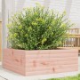 Jardinera de madera maciza de abeto Douglas 60x60x23 cm en Maceteros y jardineras | Comprar online en Foro24
