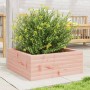 Jardinera de madera maciza de abeto Douglas 60x60x23 cm en Maceteros y jardineras | Comprar online en Foro24