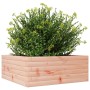 Jardinera de madera maciza de abeto Douglas 60x60x23 cm en Maceteros y jardineras | Comprar online en Foro24