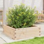 Jardinera de madera maciza de pino 70x70x23 cm