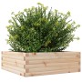 Jardinera de madera maciza de pino 70x70x23 cm