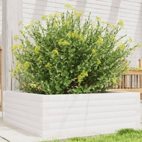 Jardinera de madera maciza de pino blanca 70x70x23 cm en Maceteros y jardineras | Comprar online en Foro24