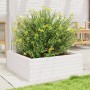 Jardinera de madera maciza de pino blanca 70x70x23 cm