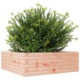 Jardinera madera maciza de abeto Douglas 70x70x23 cm