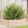 Jardinera de madera maciza de pino 80x80x23 cm