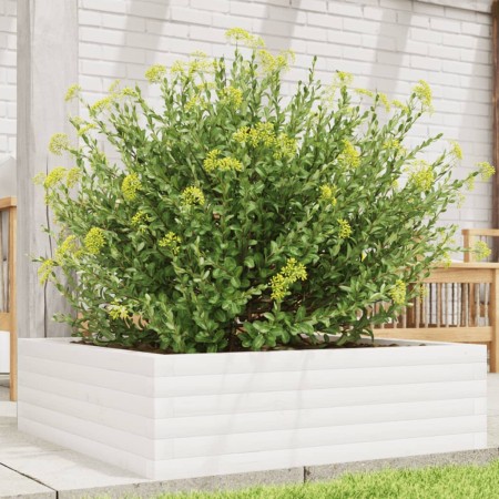 Jardinera de madera maciza de pino blanca 80x80x23 cm en Maceteros y jardineras | Comprar online en Foro24