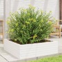 Jardinera de madera maciza de pino blanca 80x80x23 cm en Maceteros y jardineras | Comprar online en Foro24