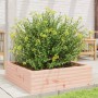 Jardinera de madera maciza Douglas 80x80x23 cm