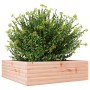 Jardinera de madera maciza Douglas 80x80x23 cm