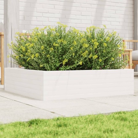 Jardinera de madera maciza de pino blanca 90x90x23 cm