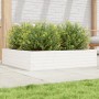Jardinera madera maciza de pino blanco 100x100x23 cm