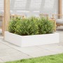 Jardinera madera maciza de pino blanco 100x100x23 cm
