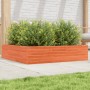 Jardinera de madera maciza de pino marrón cera 100x100x23 cm en Maceteros y jardineras | Comprar online en Foro24
