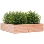 Jardinera madera maciza de abeto Douglas 100x100x23 cm