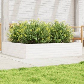 Jardinera de madera maciza de pino blanca 110x110x23 cm en Maceteros y jardineras | Comprar online en Foro24