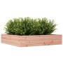 Jardinera madera maciza de abeto Douglas 110x110x23 cm en Maceteros y jardineras | Comprar online en Foro24