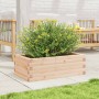 Jardinera de madera maciza de pino 70x40x23 cm en Maceteros y jardineras | Comprar online en Foro24