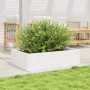 Jardinera de madera maciza de pino blanco 90x60x23 cm en Maceteros y jardineras | Comprar online en Foro24