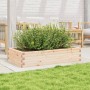 Jardinera de madera maciza de pino 110x60x23 cm en Maceteros y jardineras | Comprar online en Foro24