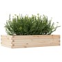 Jardinera de madera maciza de pino 110x60x23 cm en Maceteros y jardineras | Comprar online en Foro24