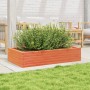 Jardinera madera maciza de pino marrón cera 110x60x23 cm