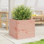 Jardinera madera maciza de abeto Douglas 50x50x45,5 cm