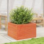Jardinera madera maciza de pino marrón cera 70x70x45,5 cm