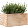 Jardinera de madera maciza de pino 90x60x45,5 cm