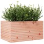 Jardinera madera maciza de abeto Douglas 90x60x45,5 cm en Maceteros y jardineras | Comprar online en Foro24