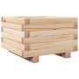 Jardinera de madera maciza de pino 40x40x26,5 cm en Maceteros y jardineras | Comprar online en Foro24