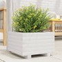 Jardinera de madera maciza de pino blanco 40x40x26,5 cm en Maceteros y jardineras | Comprar online en Foro24